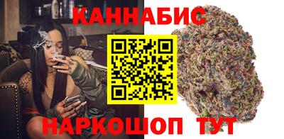 стафф Бердск