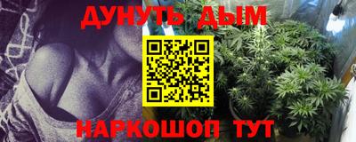 стафф Бердск