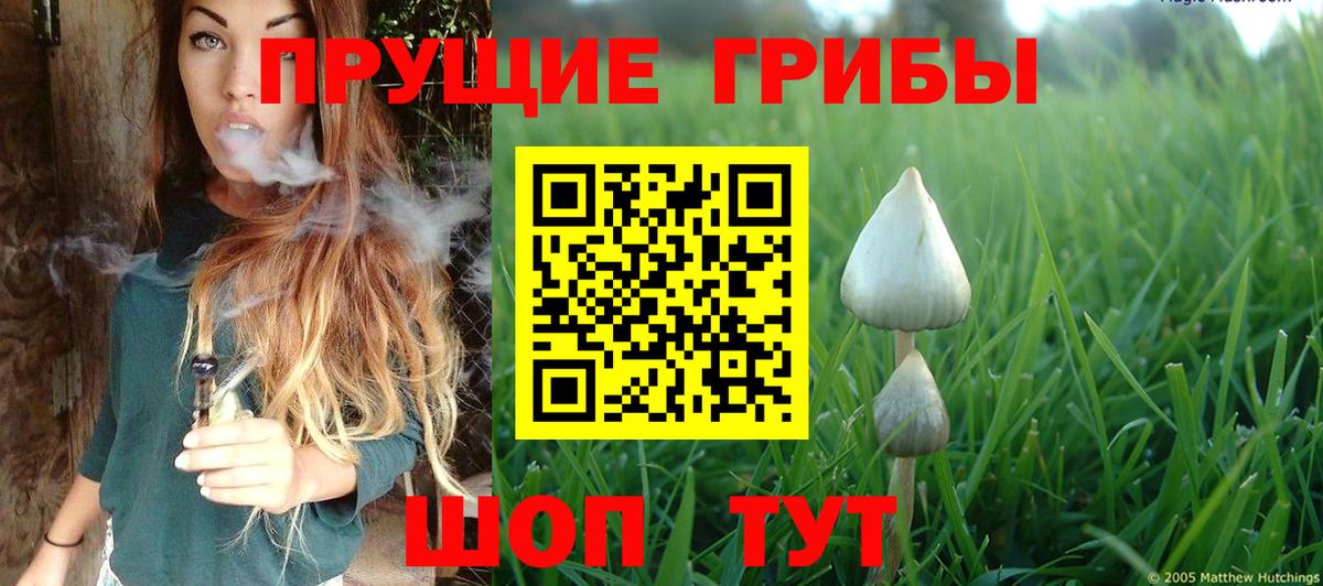 Галлюциногенные грибы MAGIC MUSHROOMS  Вход с VPN  Галлюциногенные грибы прущие грибы  Екатеринбург 