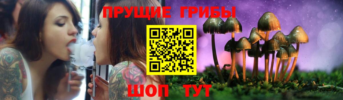 Галлюциногенные грибы Psilocybine cubensis Екатеринбург